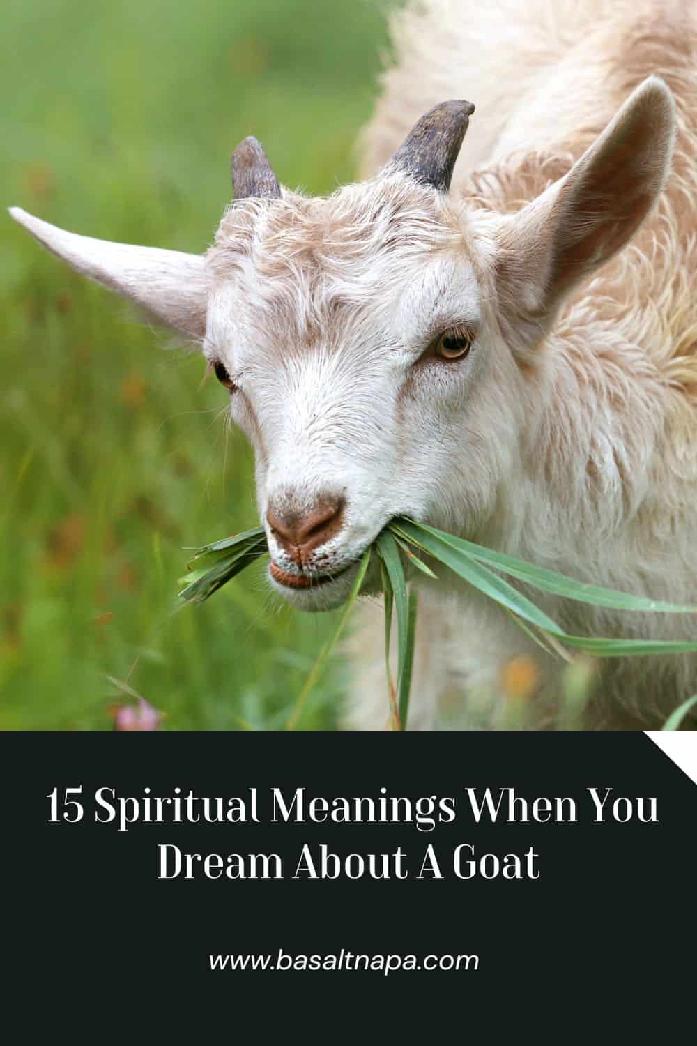 15 Spiritual Meanings When You Dream About A Goat