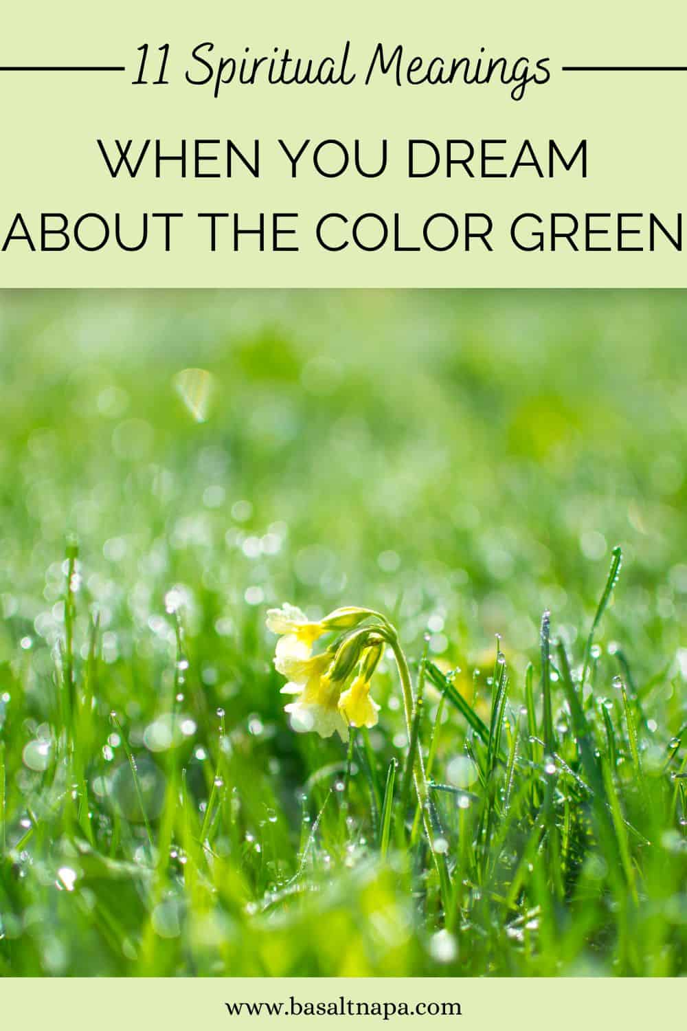 How to interpret a dream about the color green