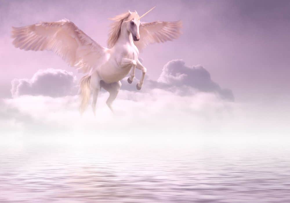 Seeing a Unicorn in a Dream