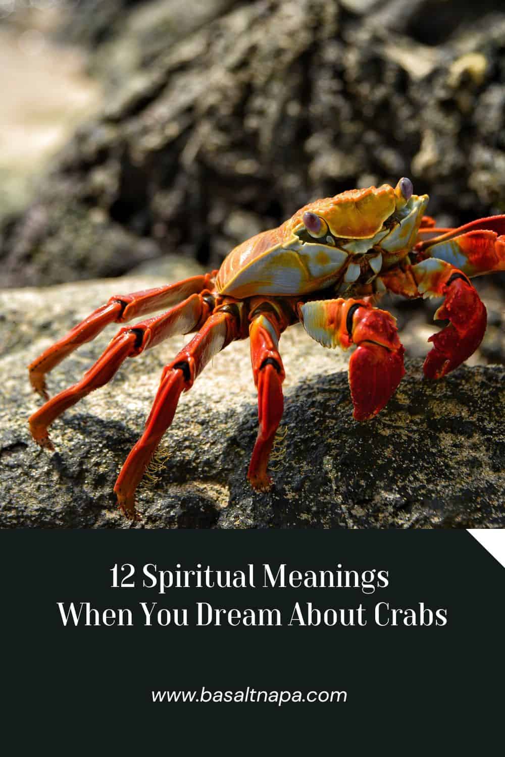 Spiritual Meanings When Dream About Crabs