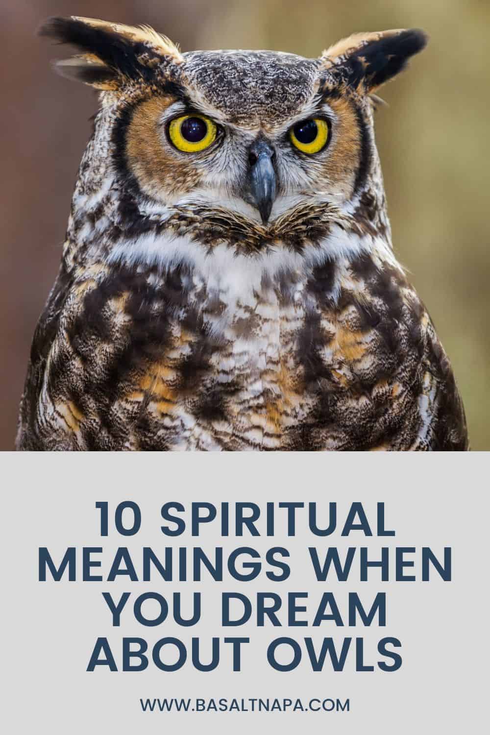 Spiritual Meanings When You Dream About Owls
