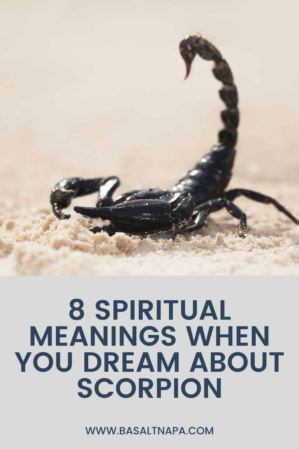Spiritual Meanings When You Dream About Scorpion