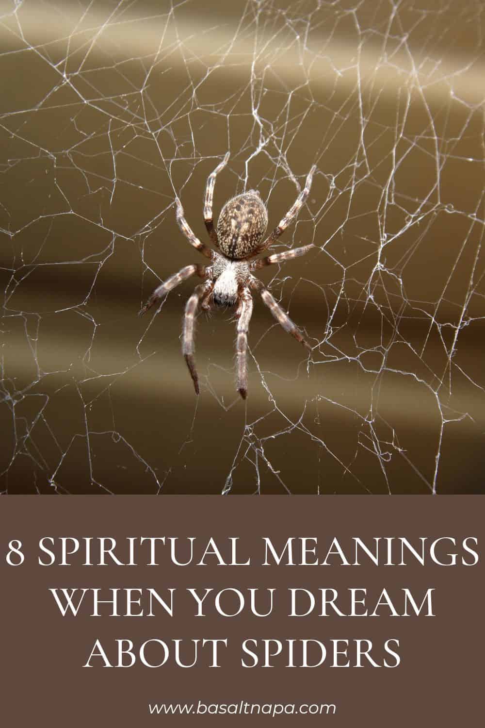 Spiritual Meanings When You Dream About Spiders