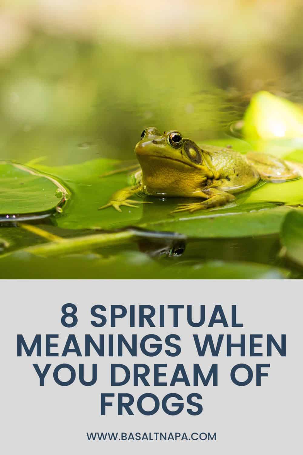 Spiritual Meanings When You Dream Of Frogs