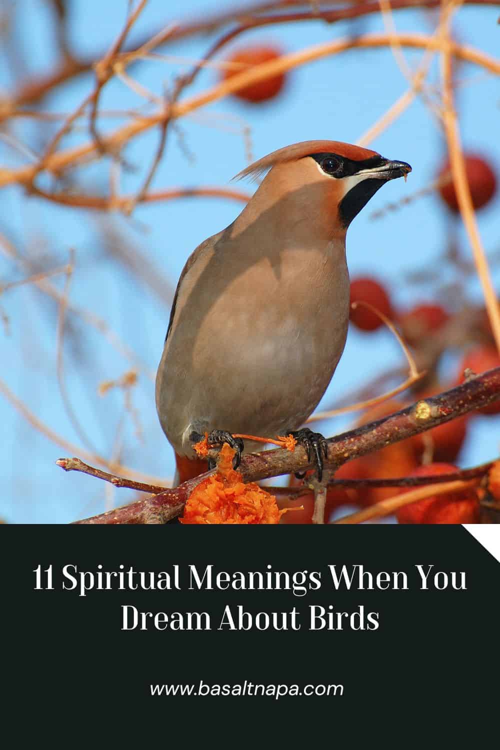 Spiritual Meanings of Birds in Dreams