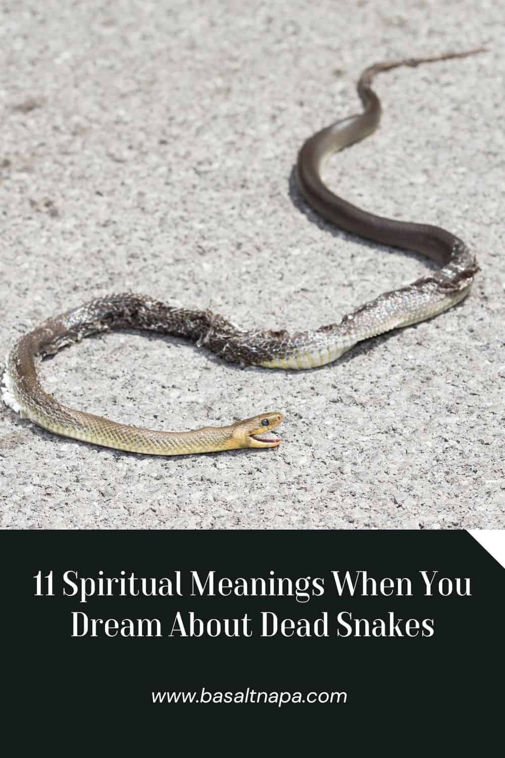 Spiritual Meanings of Dead Snakes in Dreams