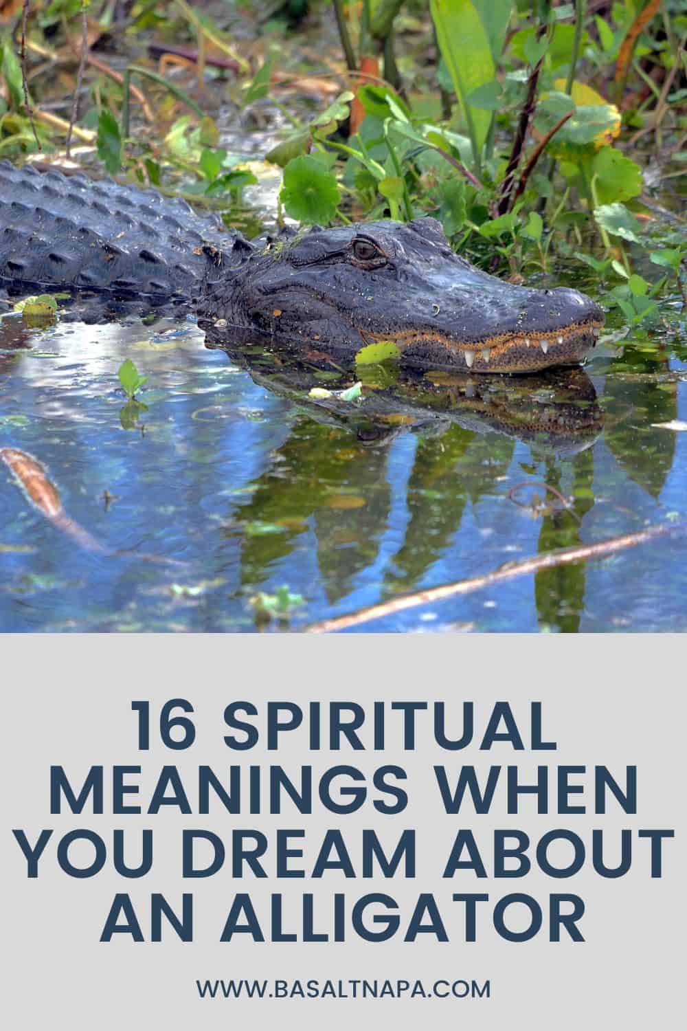 Spiritual Symbolism of an Alligator Dream