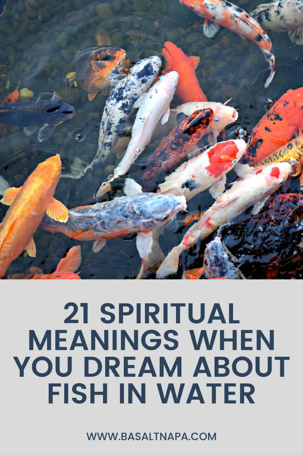 Symbolic Meaning of Dreaming of Fish in Water