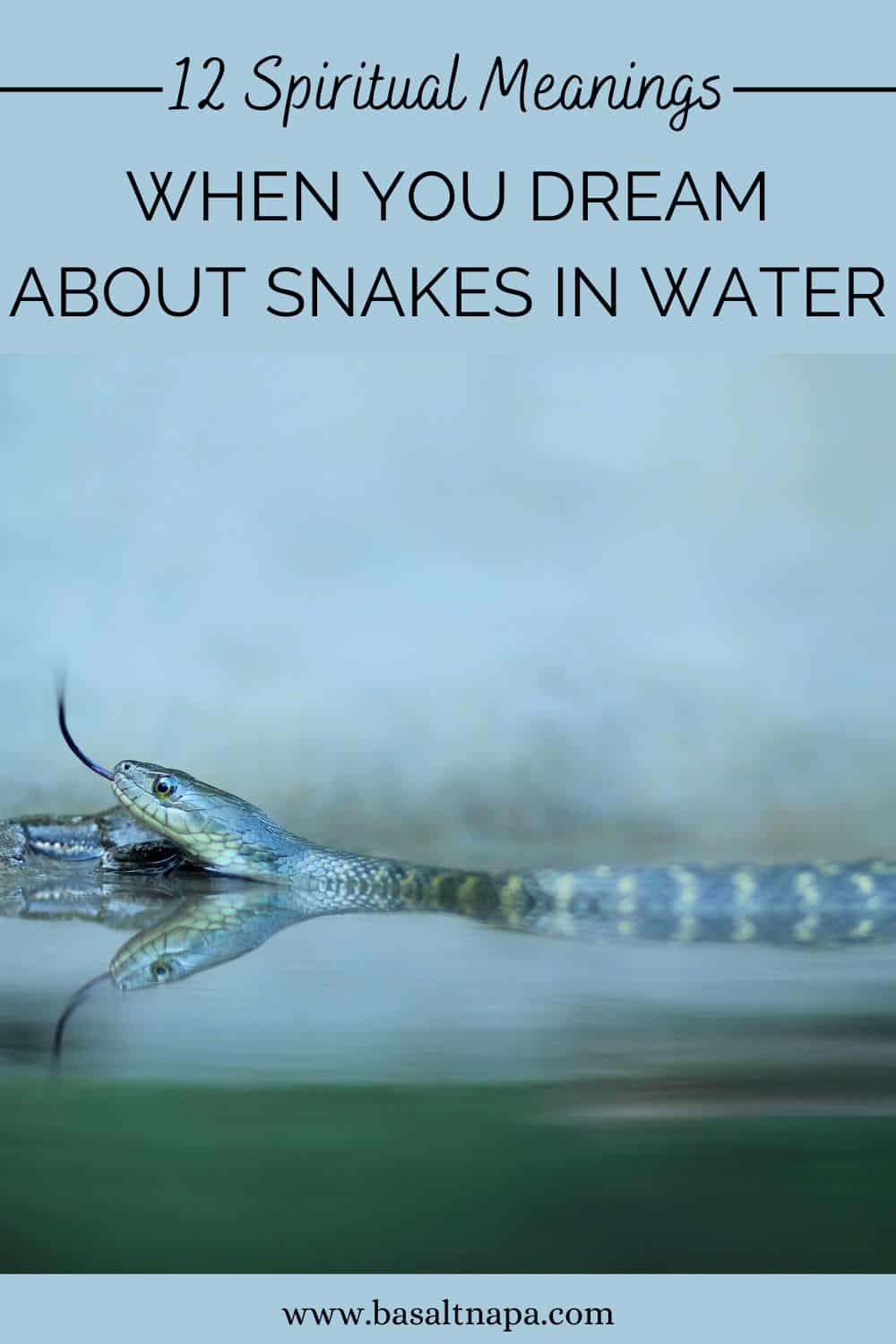 What does a dream about snakes in water mean
