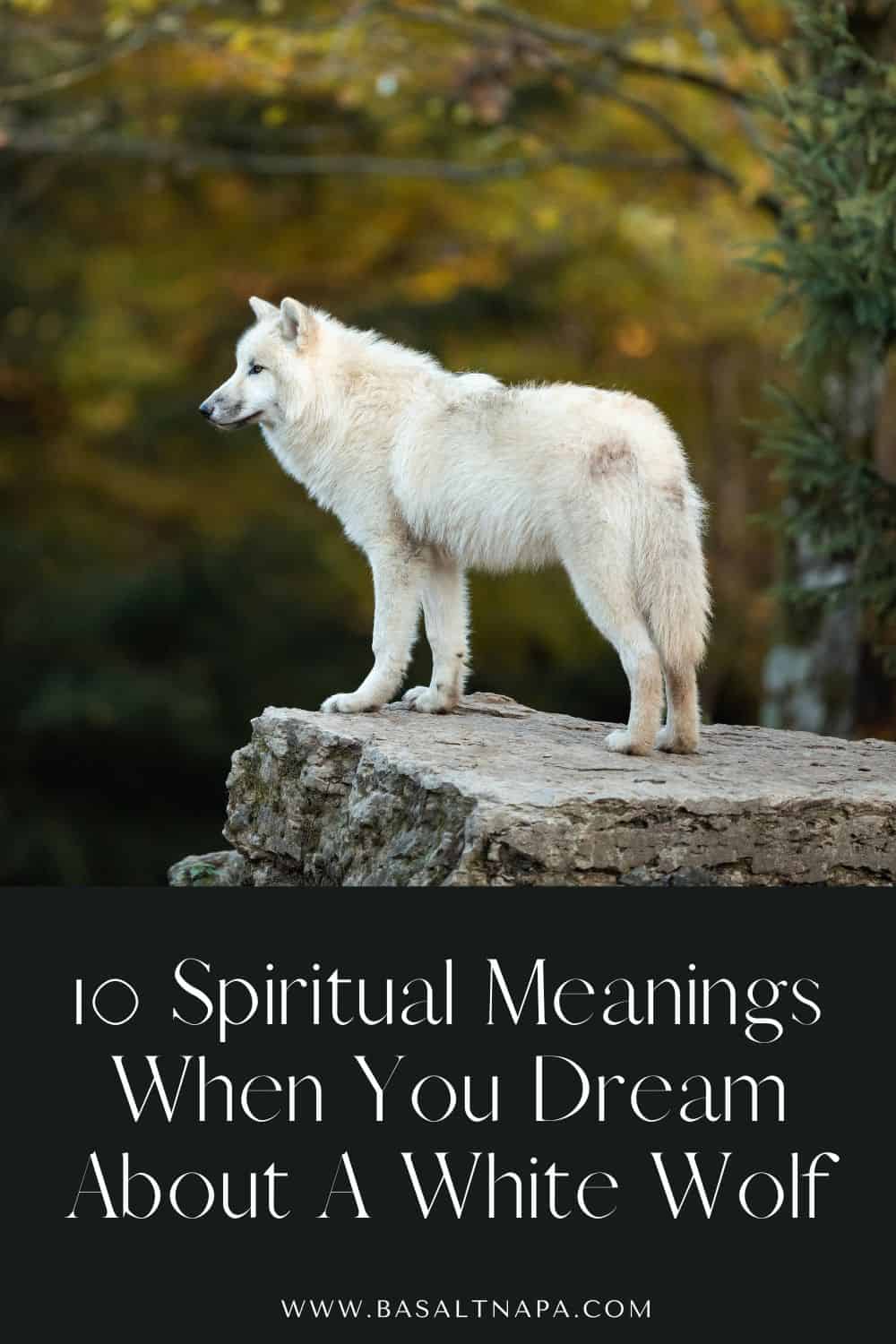 What does it mean when dreaming about a white wolf