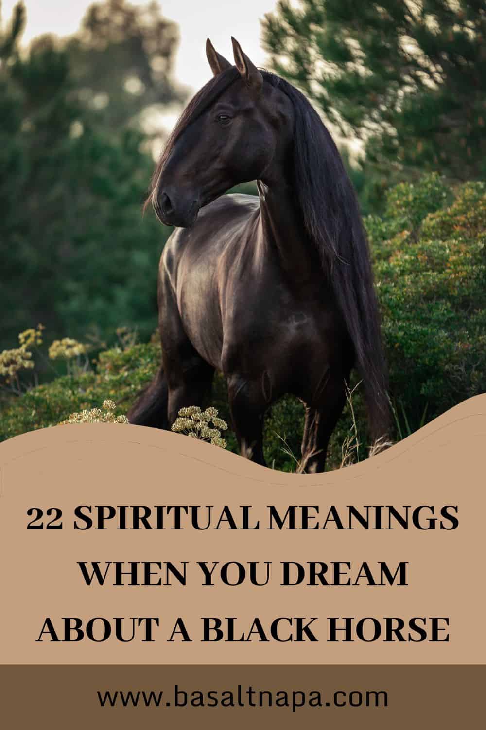 What does it mean when you dream about a black horse?