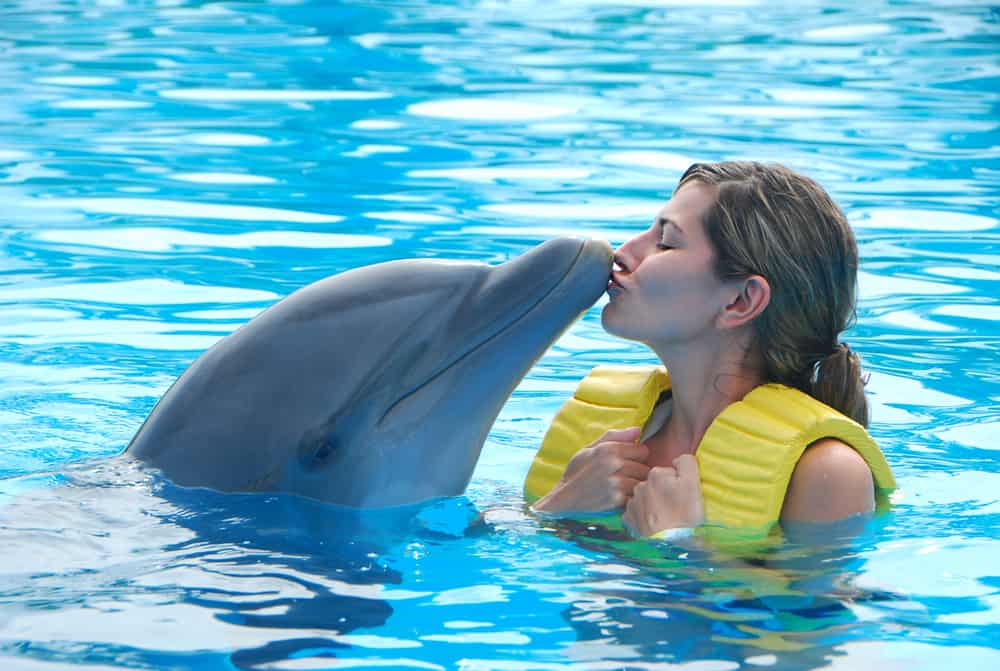 15 Spiritual Meanings When You Dream About Dolphins